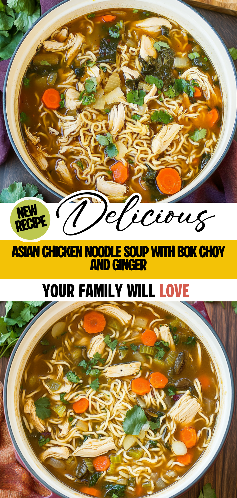 Asian Chicken Noodle Soup